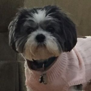 Meet your Posher, Cory