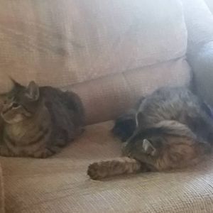 Meet your Posher, Dawn