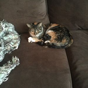 Meet your Posher, Kallie