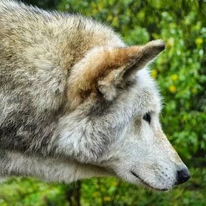 Meet your Posher, Jerry