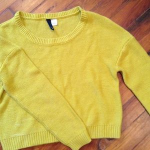 Cropped Knit Sweater