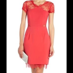 BCBG Dress