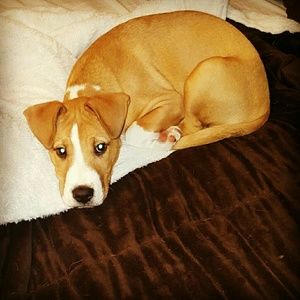 Meet your Posher, Emilie