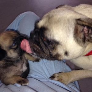 Meet your Posher, Charlene