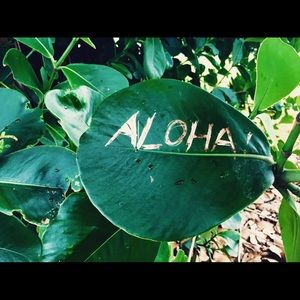 Meet your Posher, Destini