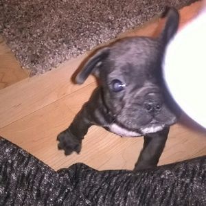 Meet your Posher, Sally