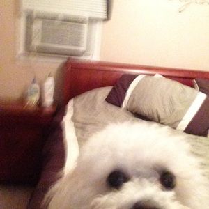 Meet your Posher, Celena