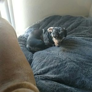 Meet your Posher, Phillip