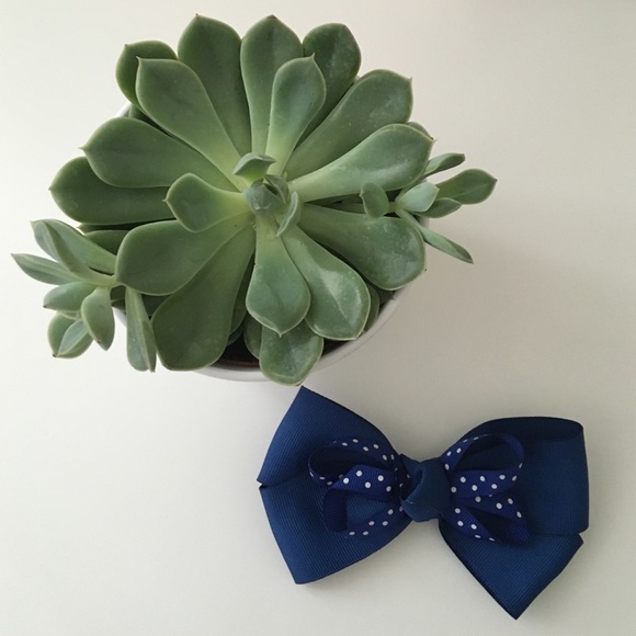 💖Blue bow