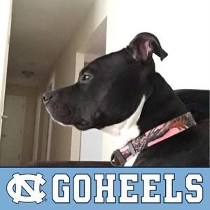 Meet your Posher, Desiree