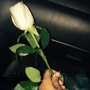 Meet your Posher, Tasneem