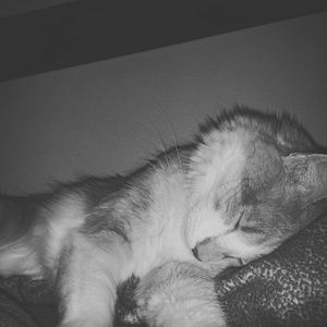 Meet your Posher, Jannie