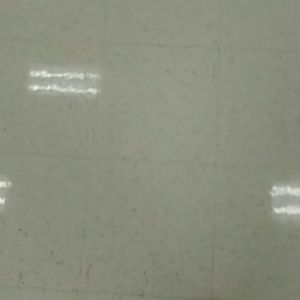 Meet your Posher, Brooklyn