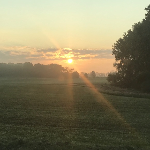 Meet your Posher, Natacha - Picture 1 of 2