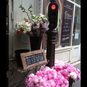 Meet your Posher, Marianne