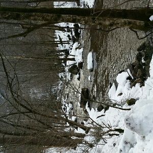 Meet your Posher, Travis