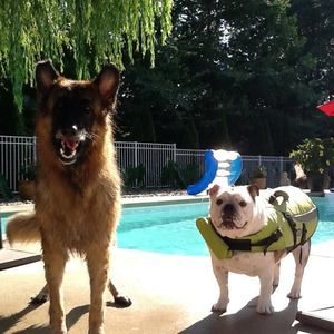 Meet your Posher, Bridget