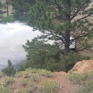 Meet your Posher, Amiee