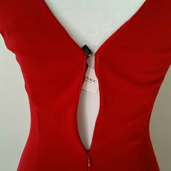 BR Ruched Bodice Dress - Picture 4 of 4
