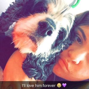 Meet your Posher, Jaden