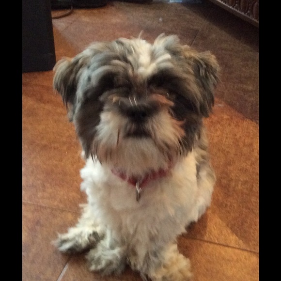 Meet your Posher, Paula - Picture 1 of 1