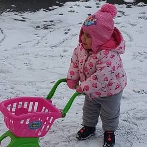 Meet your Posher, Oscar