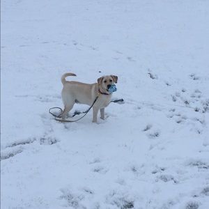 Meet your Posher, Maureen