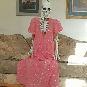 Anthropologie Sheer Pink Maxi Dress