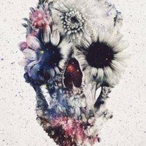 Meet your Posher, Cynthia