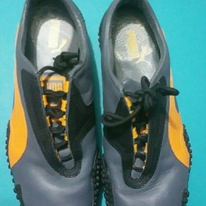 Puma mostro