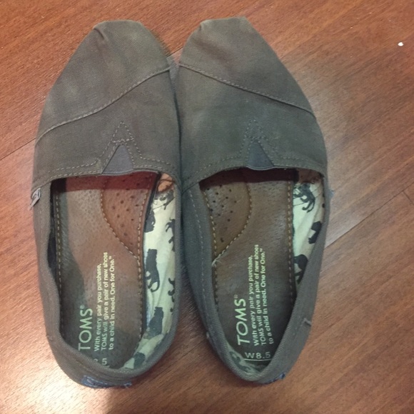 toms ash grey canvas