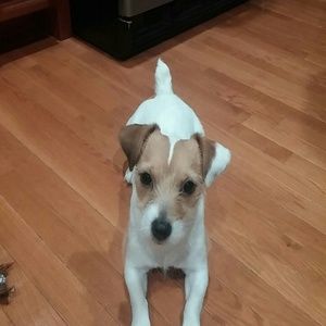 Meet your Posher, Jamie lee