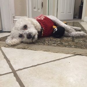 Meet your Posher, Kikan