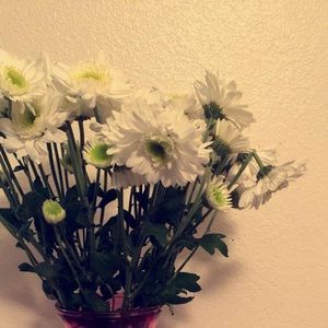 Meet your Posher, Larissa