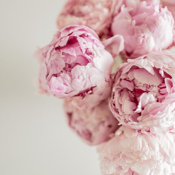 < h e l l o ! > - Picture 4 of 8