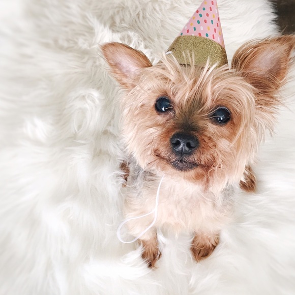 < h e l l o ! > - Picture 6 of 8