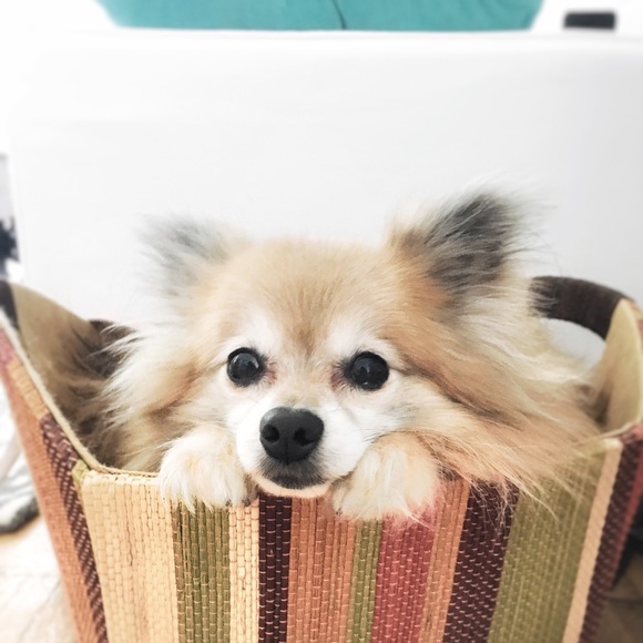 < h e l l o ! > - Picture 5 of 8