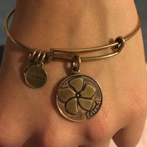 Alex and Ani "Friend" Charm Bangle