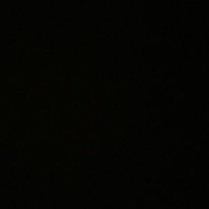 Meet your Posher, Eva