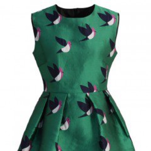 NWOT Bird Print Skater Dress