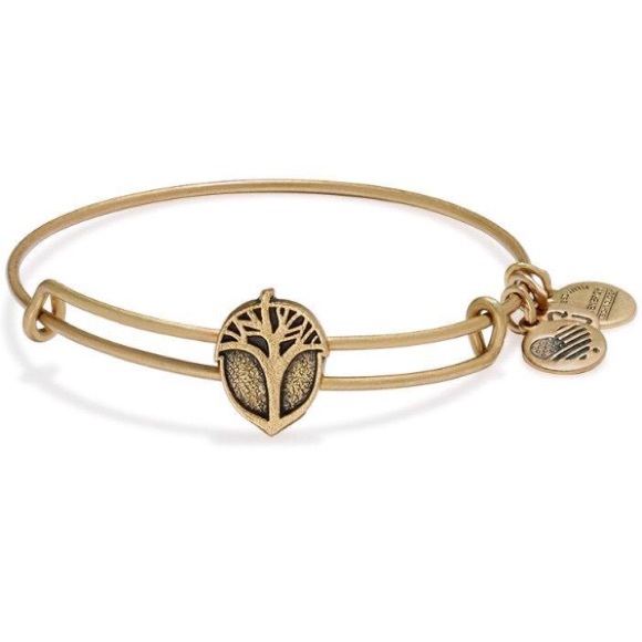 Alex and Ani Jewelry - 🌿NWT Alex and Ani unexpected miracles bangle🌿