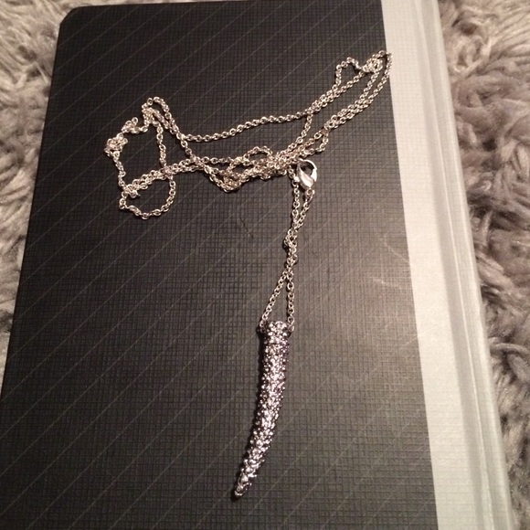 Horn Necklace 🌻