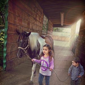 Meet your Posher, Alison