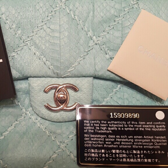 Chanel Limited Edition Python Bag - Picture 3 of 4