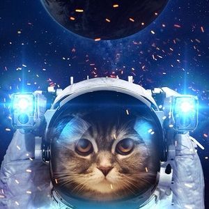 Meet your Posher, Christian