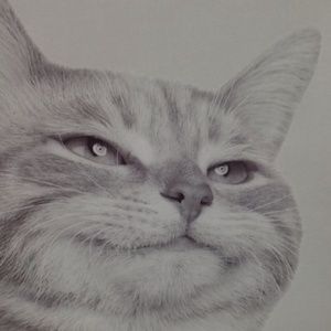 Meet your Posher, Veronica