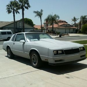 Meet your Posher, Terry