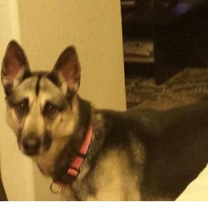 Meet your Posher, Kelley