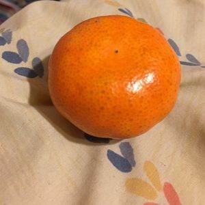 Meet your Posher, Gabrielle