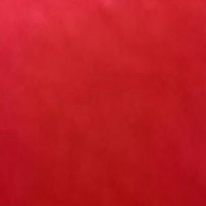 Meet your Posher, Nida